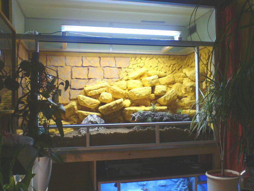 Gesamtansicht Leopardgeckoterrarium von Jey