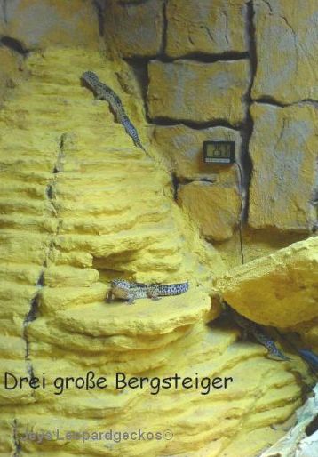 der Berg