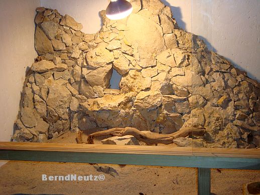 Kletterfelsen