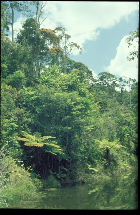 Madagaskar2